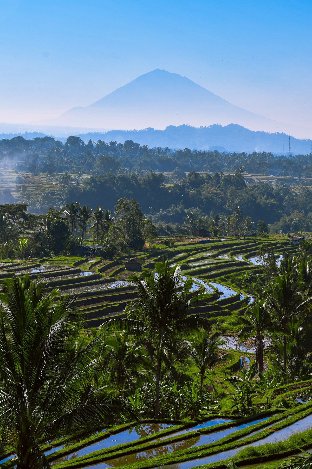Jatiluwih rice terraces in Tabanan, the district behind this Bali property investment
